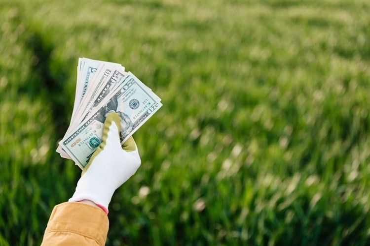 Shio Beruntung Dapat Rezeki di 25 September 2025, Kerja Keras Mulai Berbuah