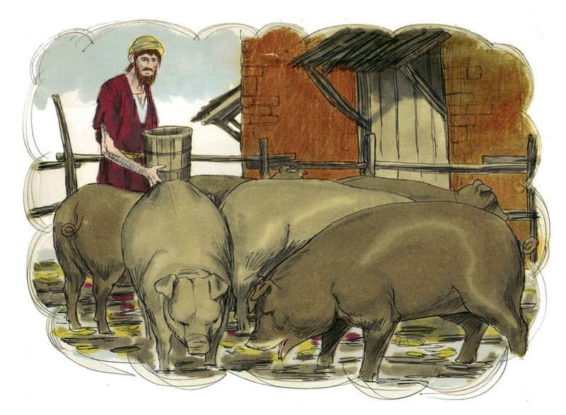 7. Unclean Swine