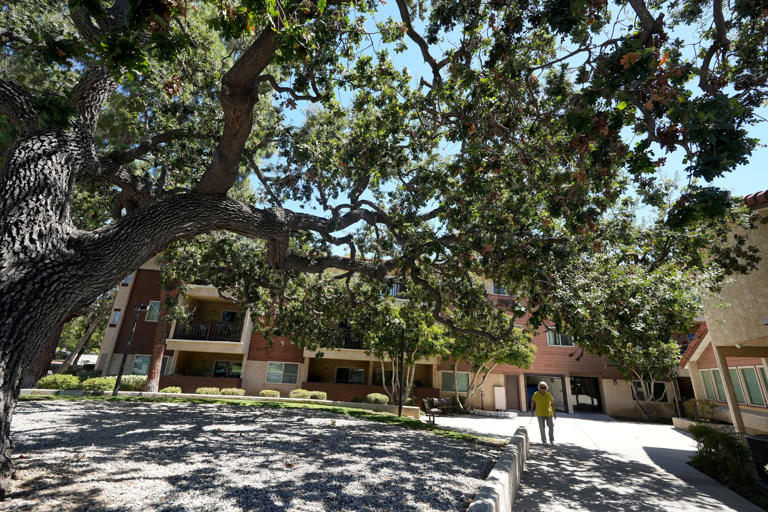 thousand dollar yeezy