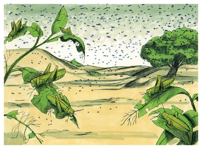 10. The Devouring Locust Swarms