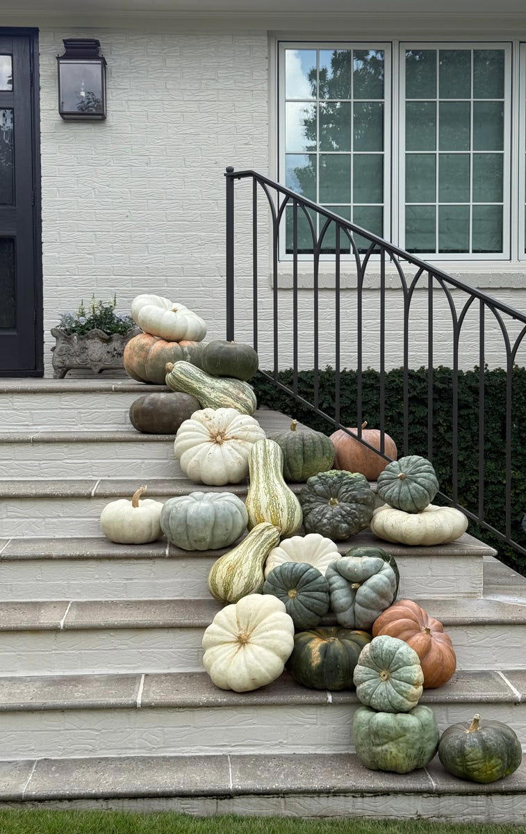 We asked 4 interior designers and they all agree: These 7 fall