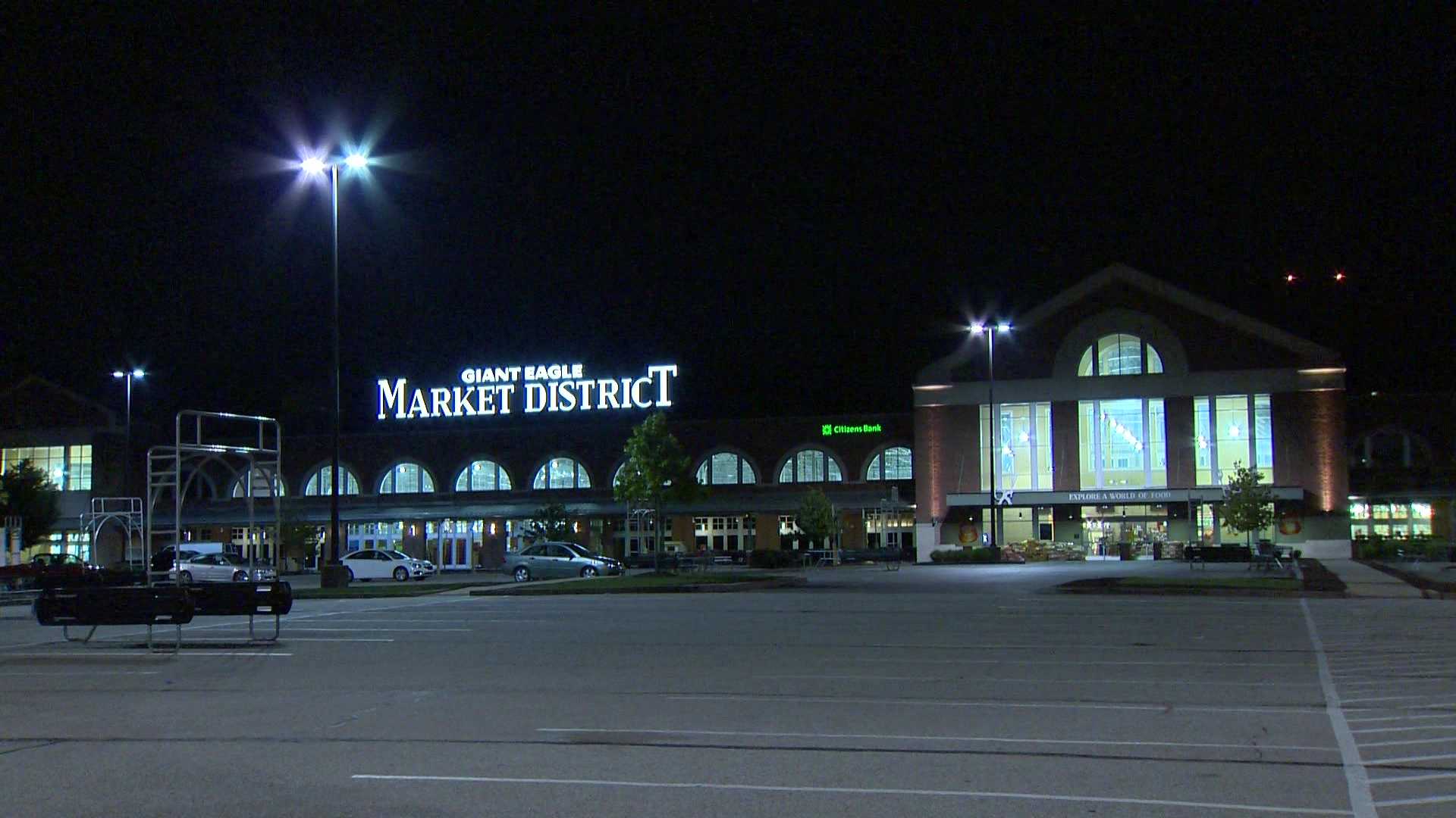 Settlers Ridge shopping center in Robinson Township is on the market