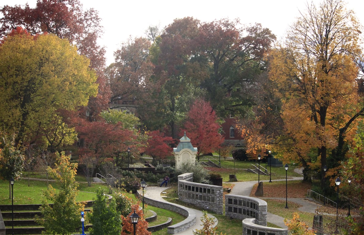 11 colleges where tuition is free (including even Harvard now)