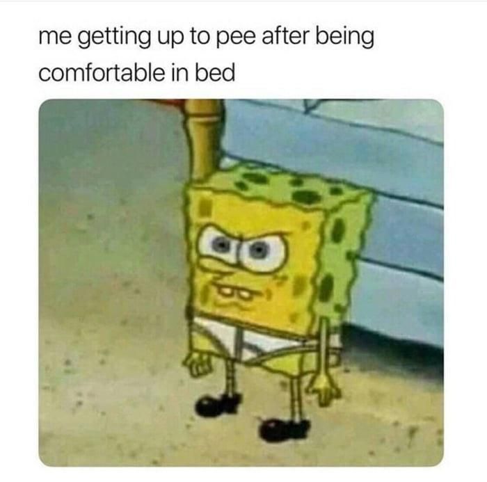 8 Meme SpongeBob Saat Kebutuhan Malam Hari