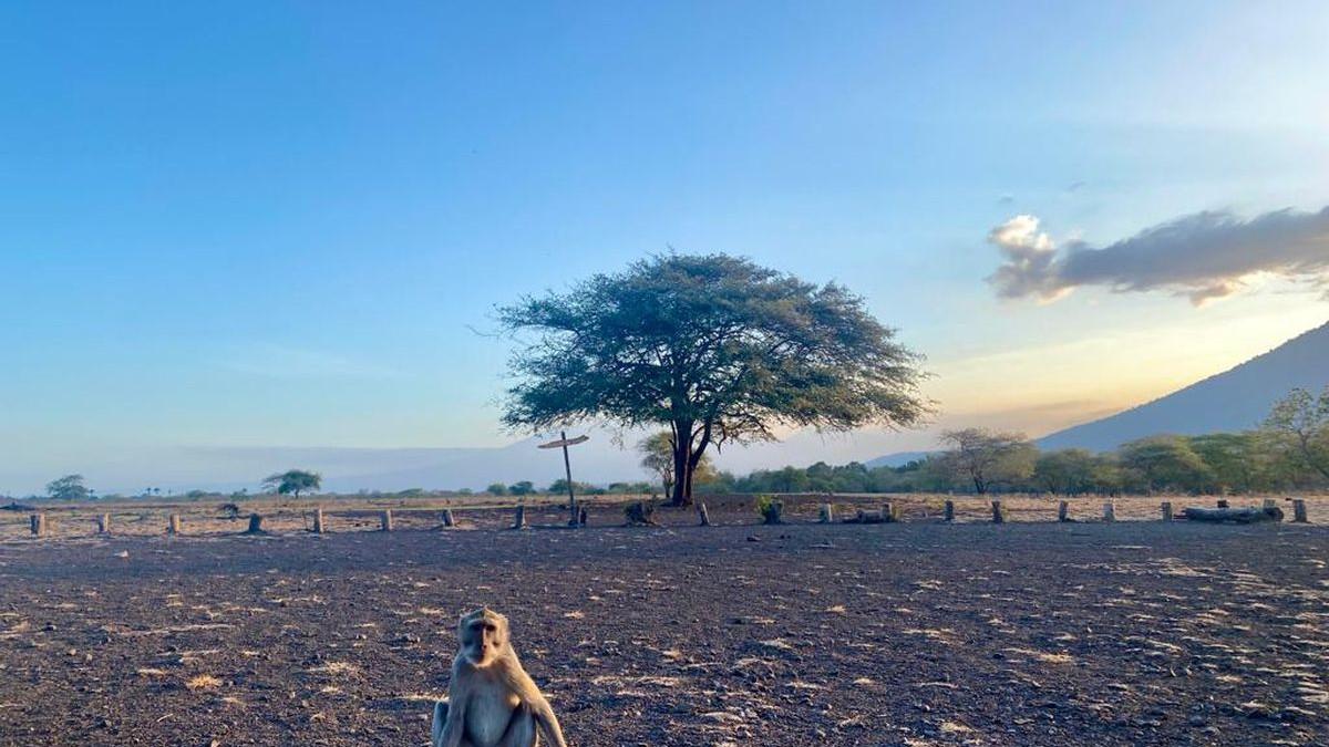 Tempat Wisata Menarik dan Terjangkau di Banyuwangi: Kawah Ijen, Baluran, Pulau Merah, Teluk Hijau