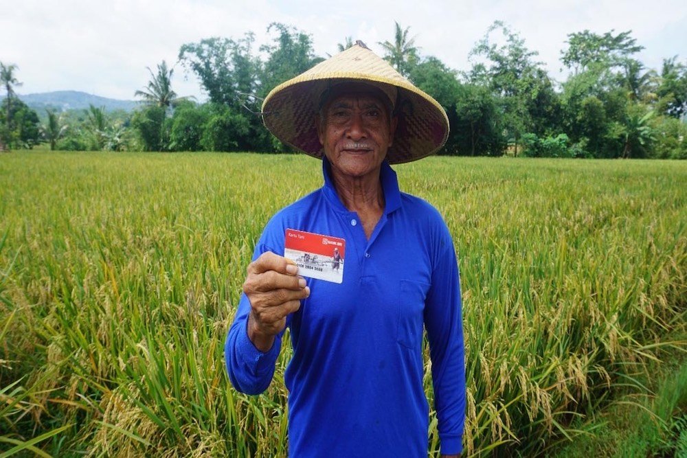BRI Tingkatkan Akses Pembiayaan untuk Pertanian