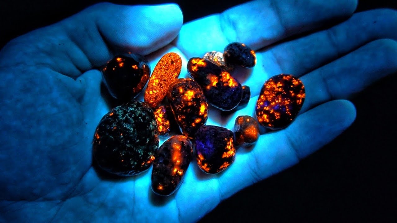 THIS is Why Michigan Rock Hunting at Night is So Incredible!