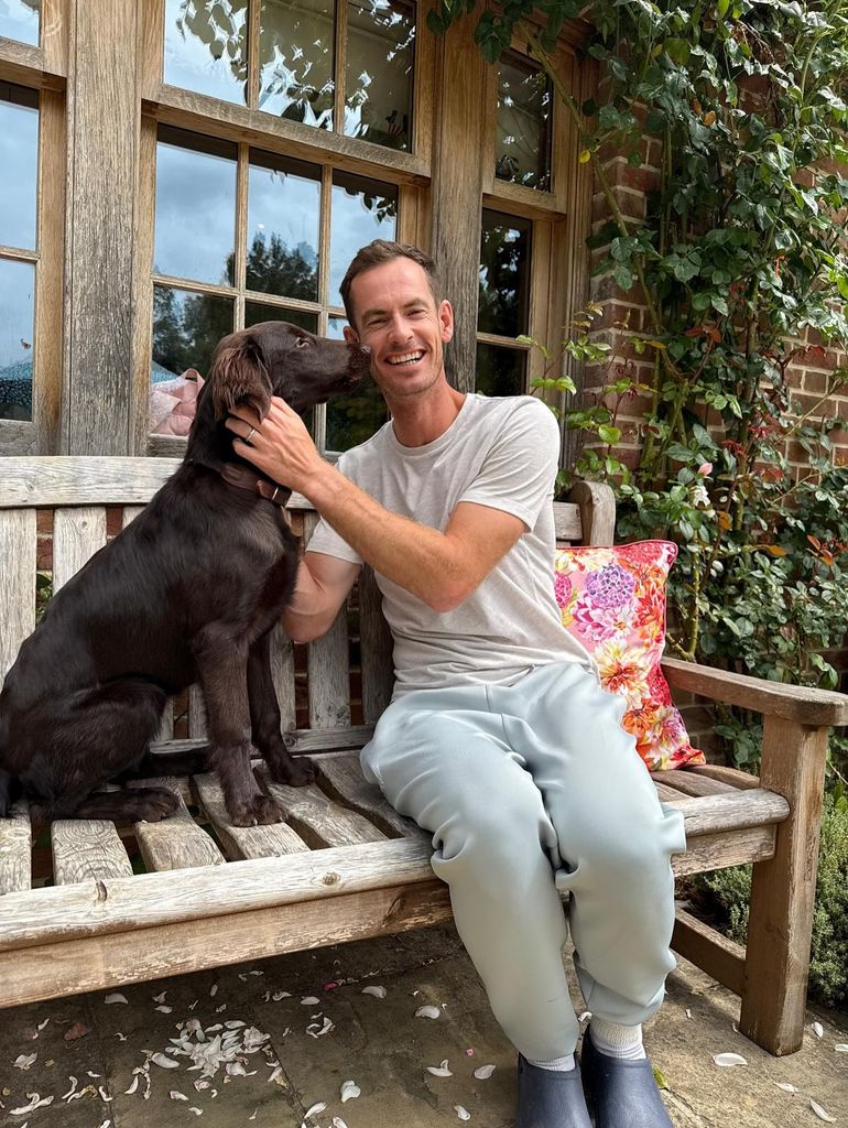 Andy Murray introduces new family member and reveals how she fits into ...