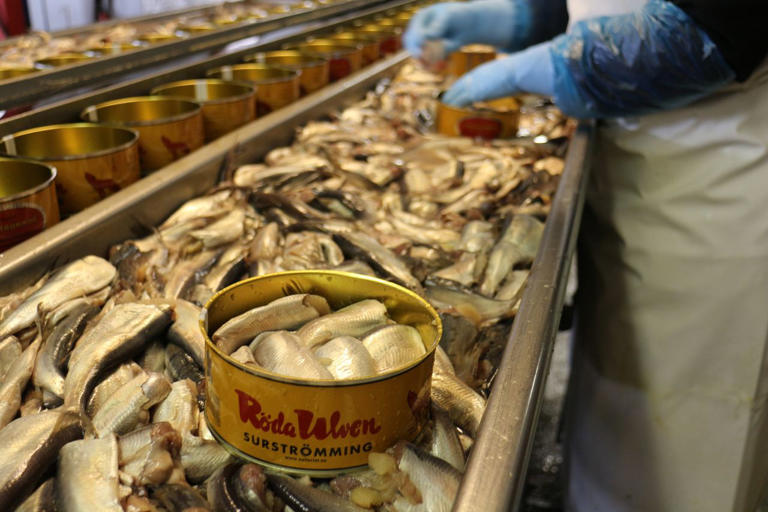 あの《世界一臭い食べ物》シュールストレミングが食べられなくなる日