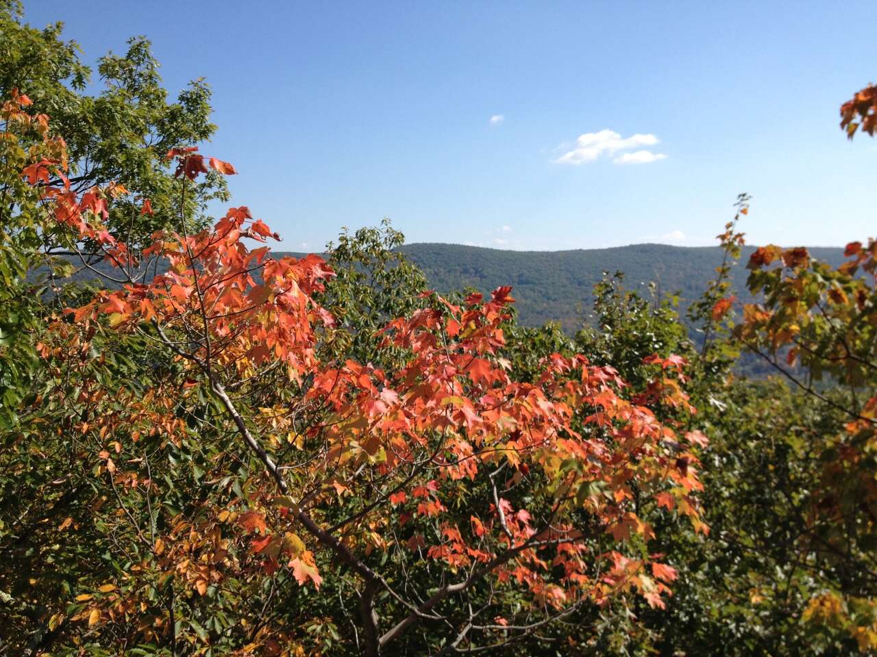 Man dies after fall while rock climbing on Appalachian Trail in ...