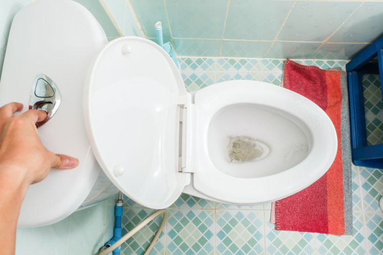 Toilet Duduk dengan Dua Tombol Bilas, Fungsi yang Menjebak
