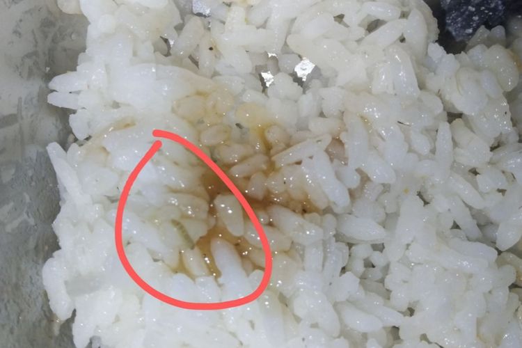 Video Ulat di Menu MBG Maumere, SPPG Tengah Selidiki