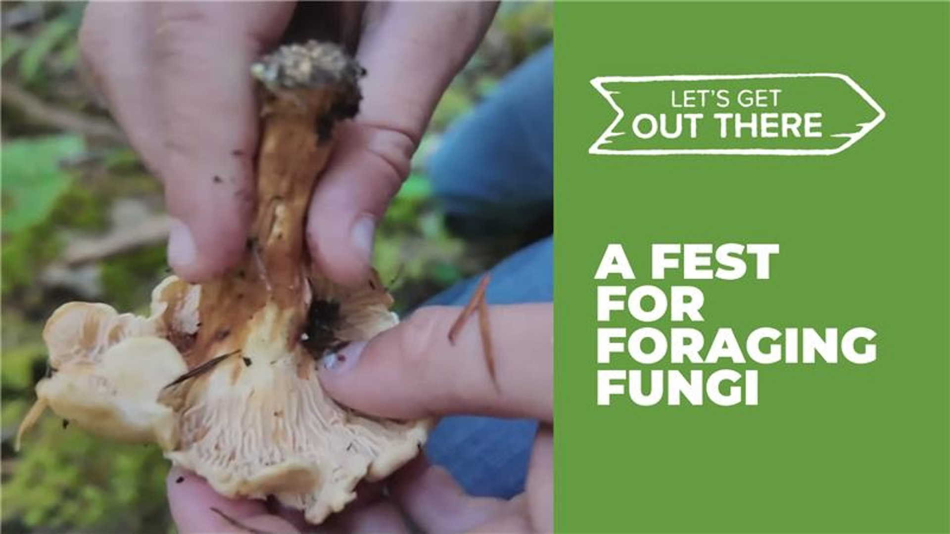 stevenson-mushroom-festival-returns-with-hunts-family-activities-this