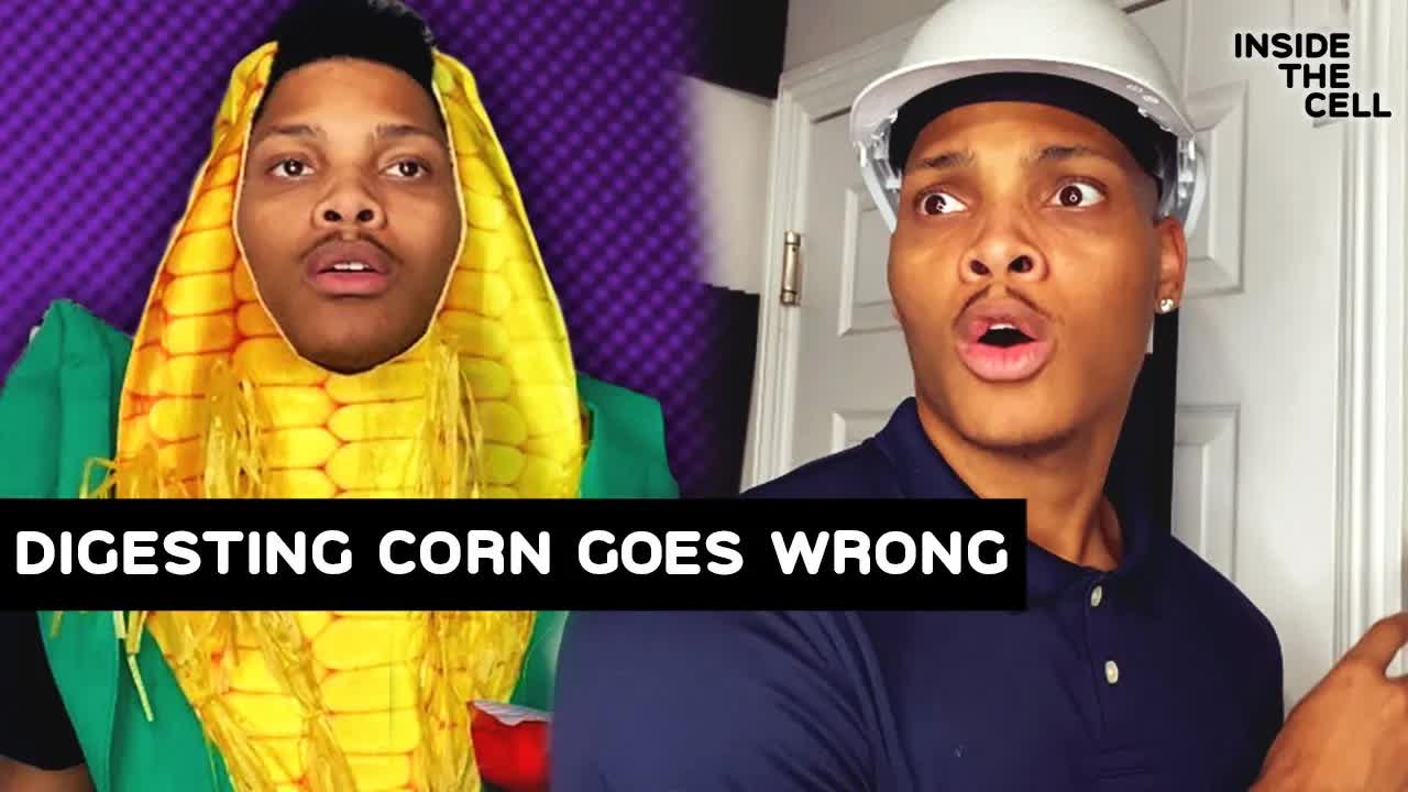What Really Happens When You Digest Corn | Inside The Cell