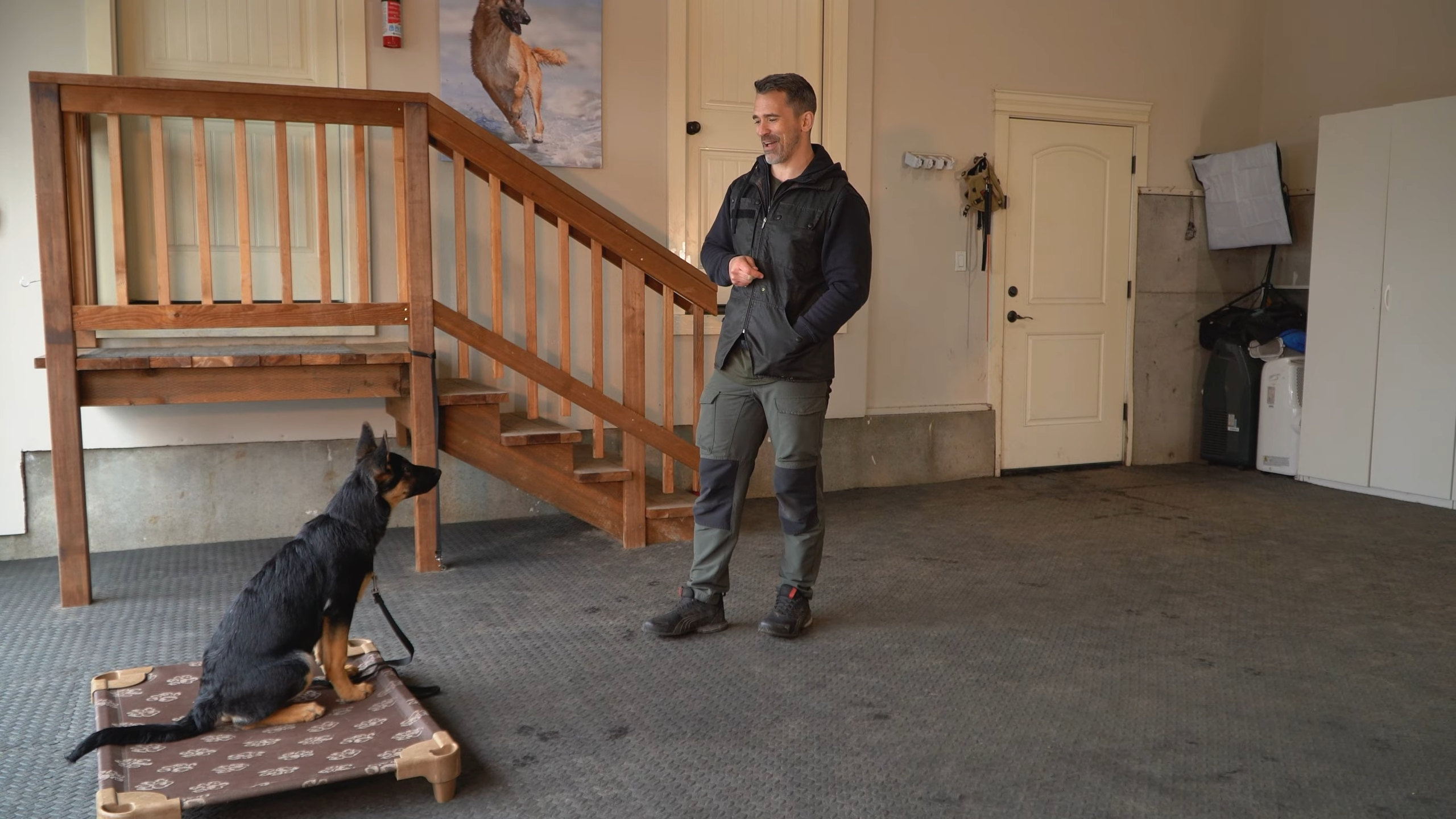 The Easiest Way to Teach Your Dog to Stay