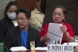 Why clips of Sarah Discaya drinking soda during Senate hearing went viral
