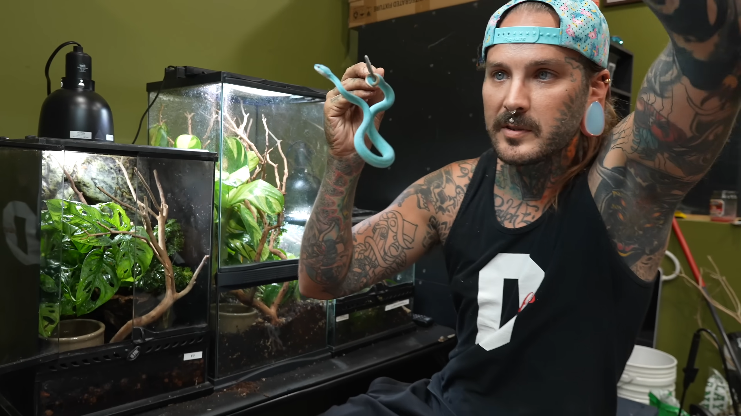Dangerous Snakes You Didn't See Coming