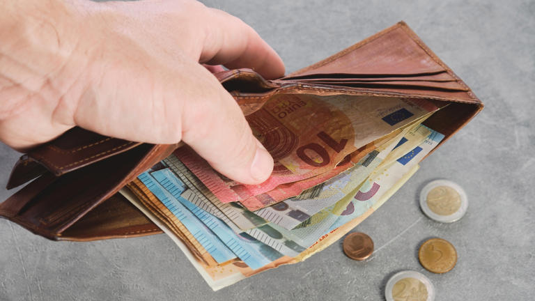 Keep cash at home”: this is the amount recommended by the European Central  Bank
