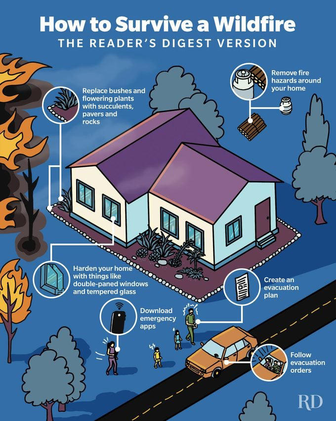 How to Survive a Wildfire: 10 Tips That Could Save Your Life