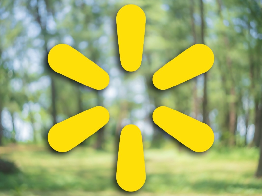 Walmart's bestselling $60 pop-up canopy tent is 'easy to set up' in minutes
