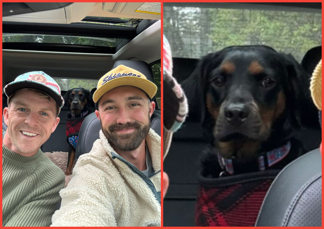 This couple & their dog are going viral for all the wrong reasons