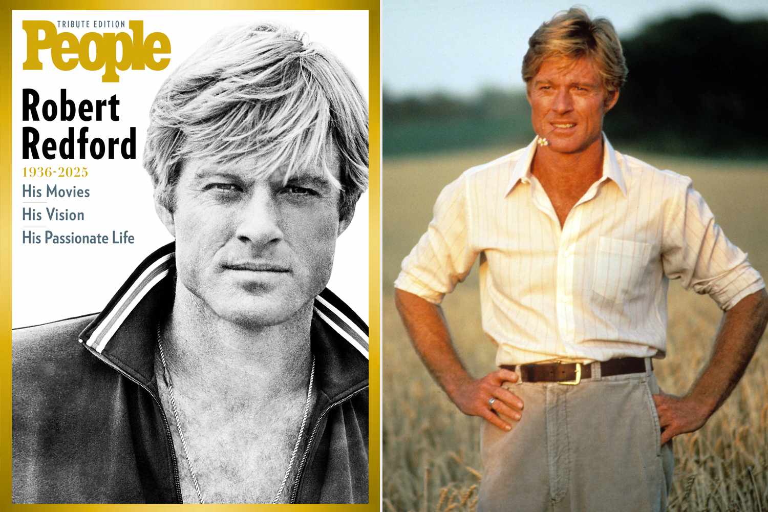 Robert Redford Said Surprising Job as a Utah Sewer Commissioner Was a