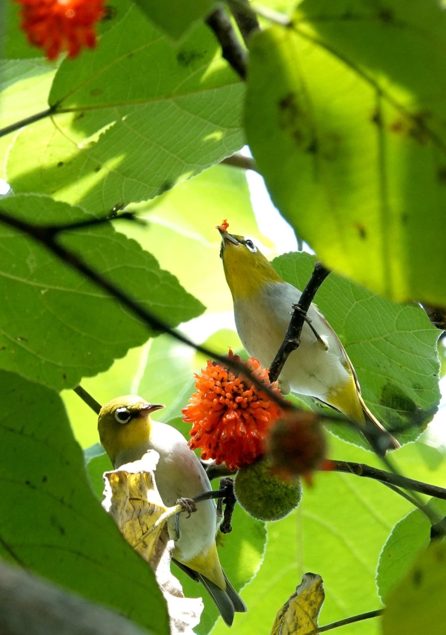 Full House star reveals why she left LA amid celebrity exodus