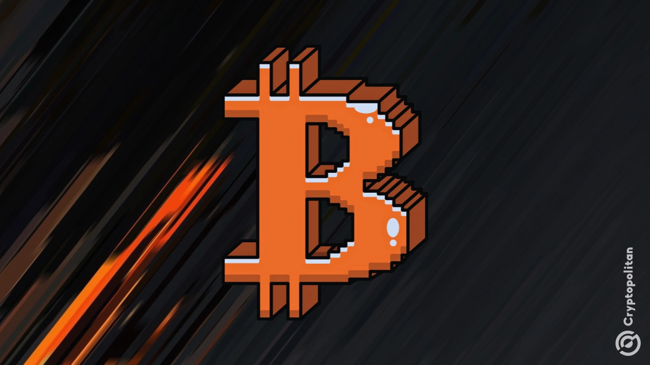 Perusahaan keuangan pemerintah kehilangan posisi mereka saat cadangan Bitcoin menyusut 76%