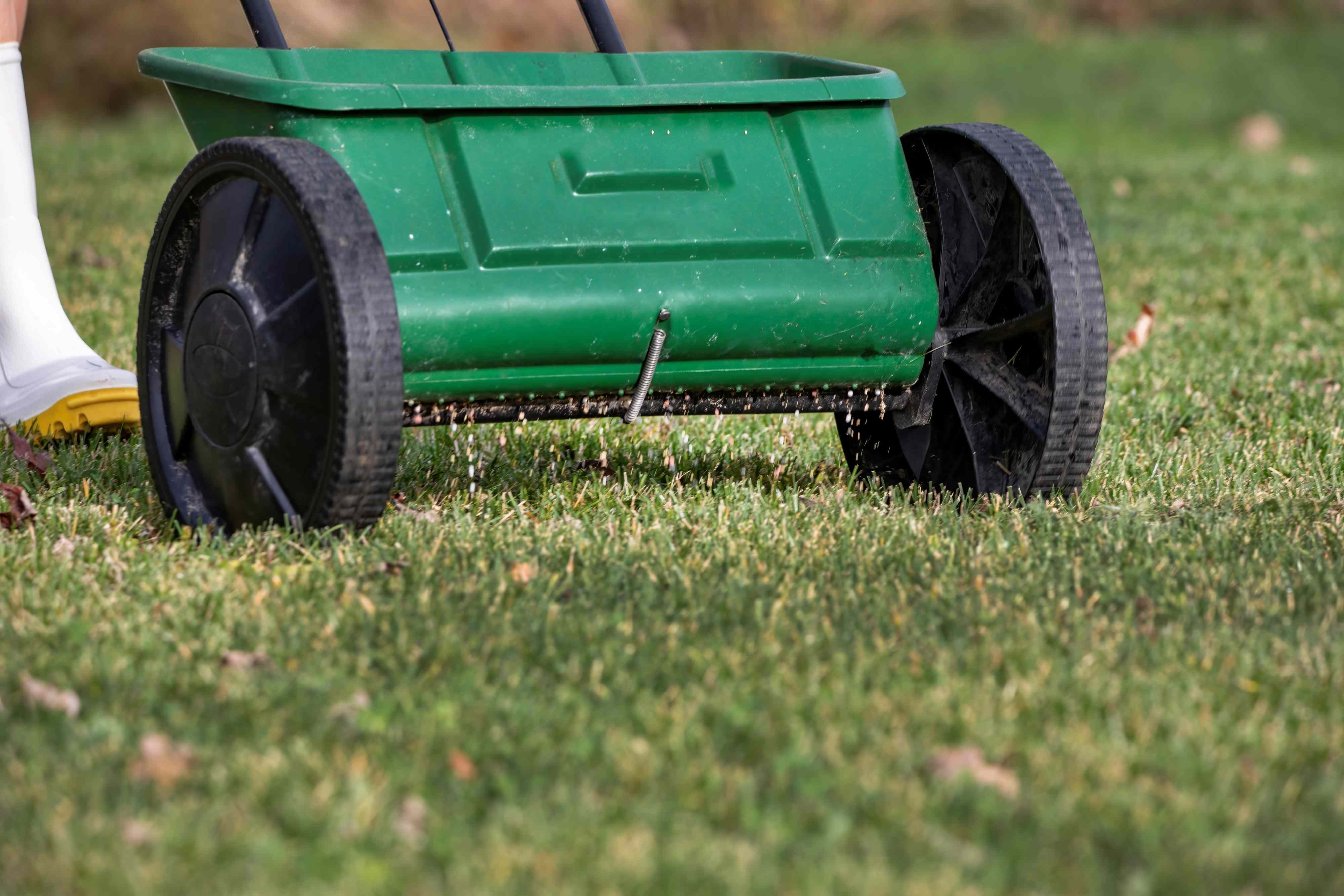 want-a-greener-lawn-in-spring-don-t-miss-this-fall-fertilizing-window