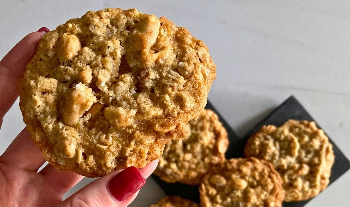 jimmy jazz mens jordan sneakers