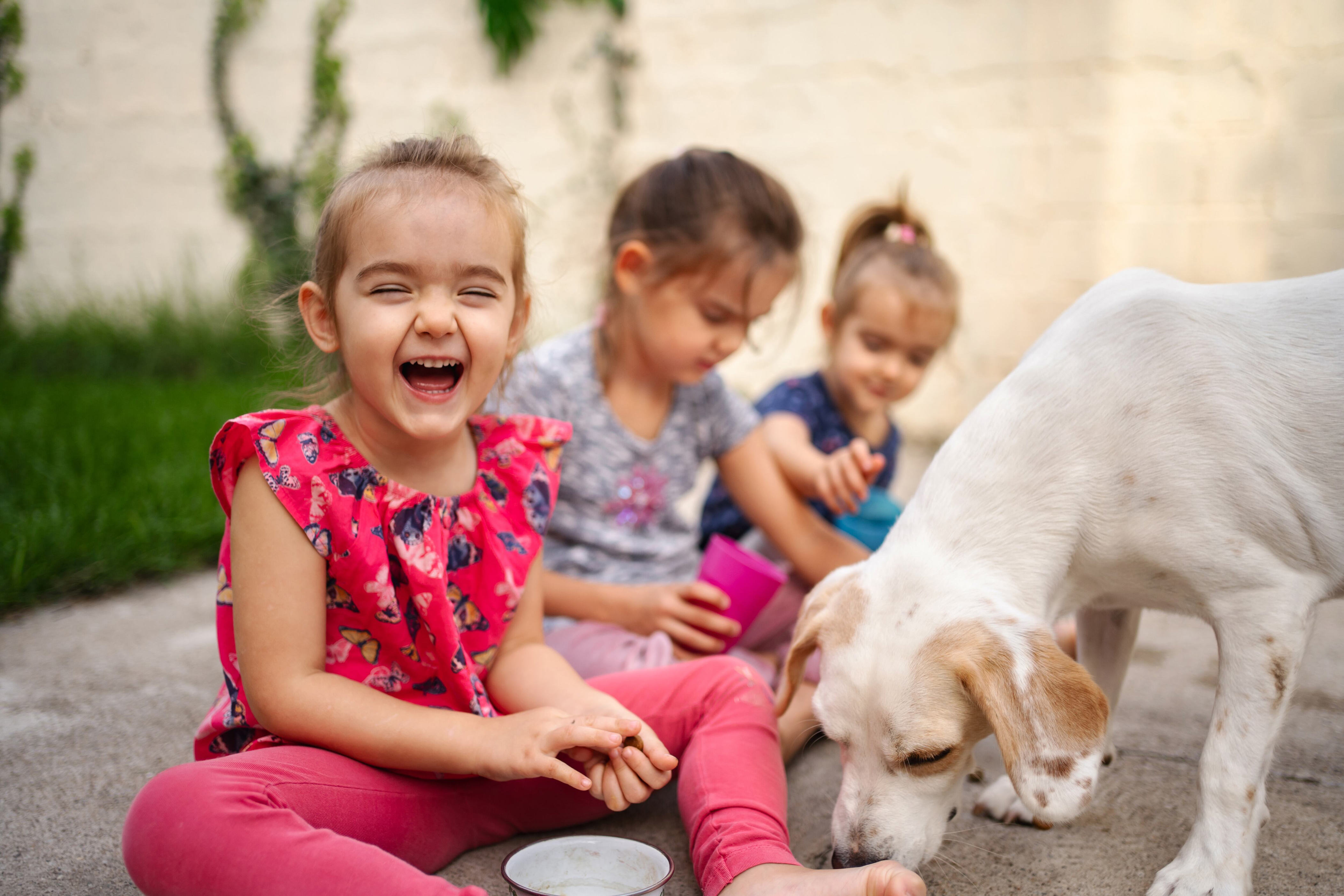 La fórmula secreta para un sistema inmune fuerte es tener un amigo peludo desde pequeño, según la ciencia