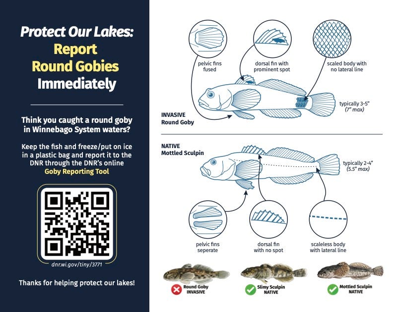 Rule would encourage anglers to help limit round goby spread on Lake ...