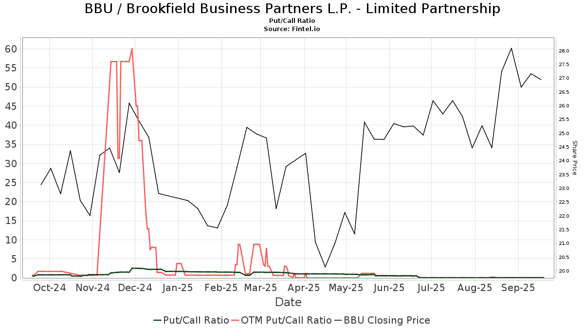 RBC Capital Maintains Brookfield Business Partners L.P. - Limited ...