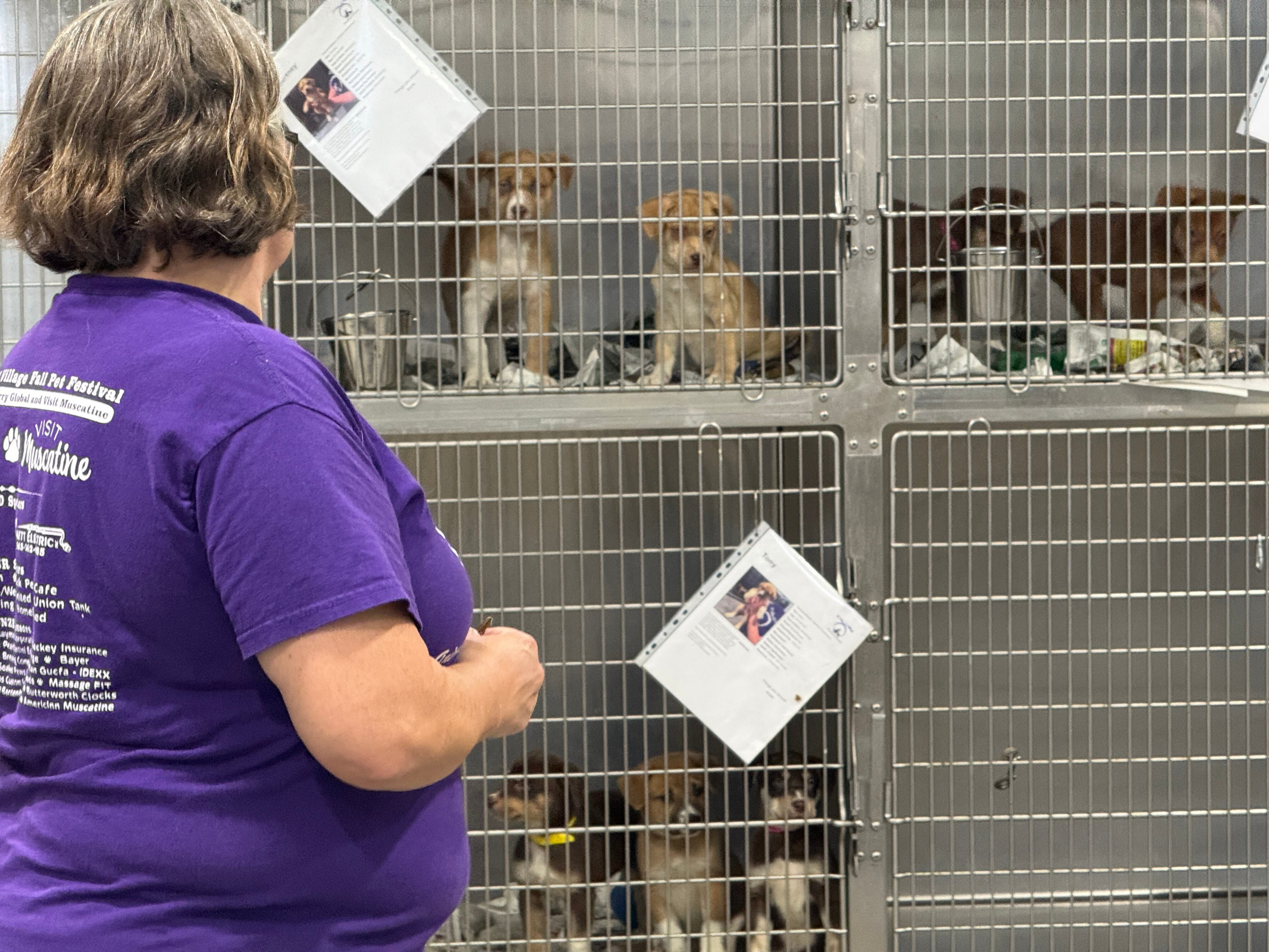 It takes a village animal rescue in Muscatine permanently closing its doors