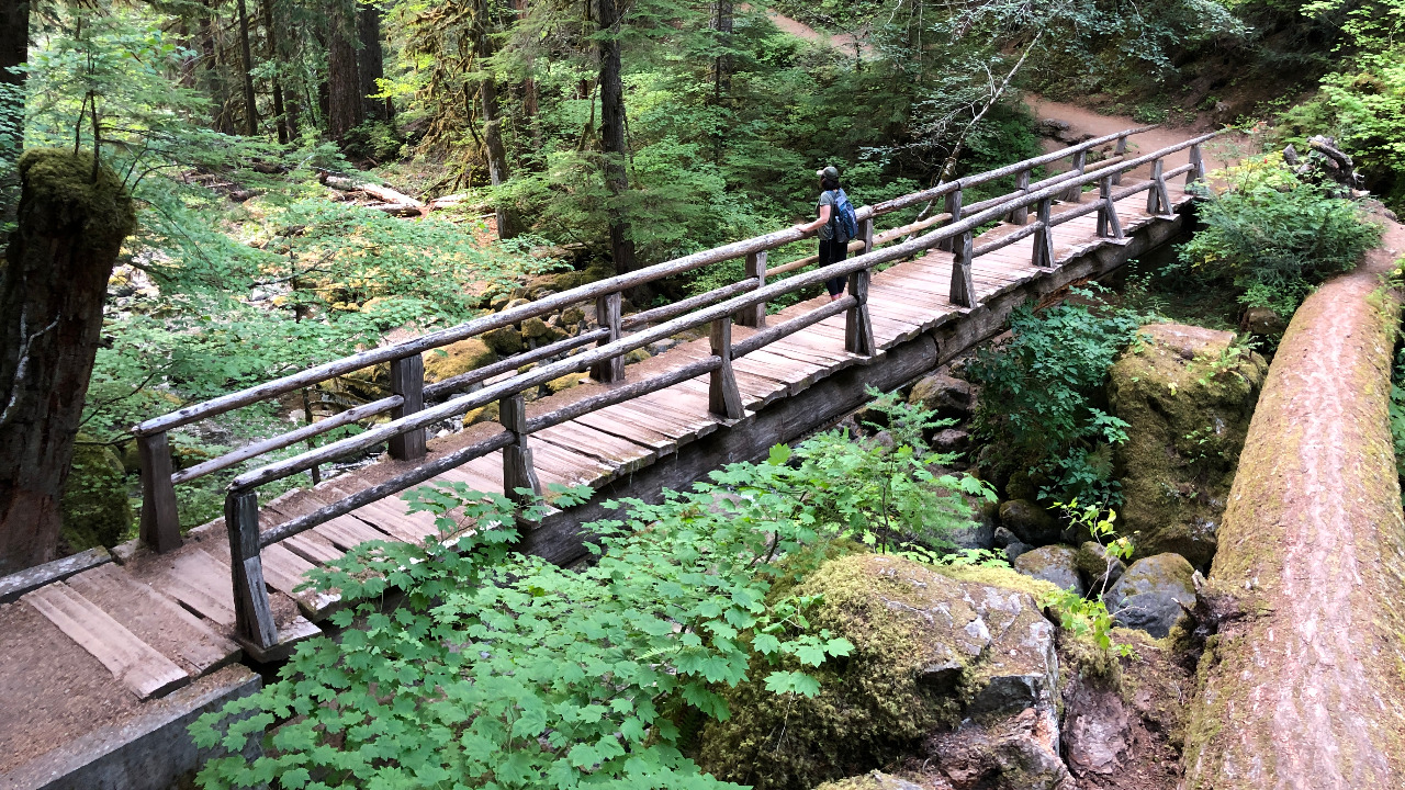 This Oregon hike lets you walk behind four different waterfalls on one loop