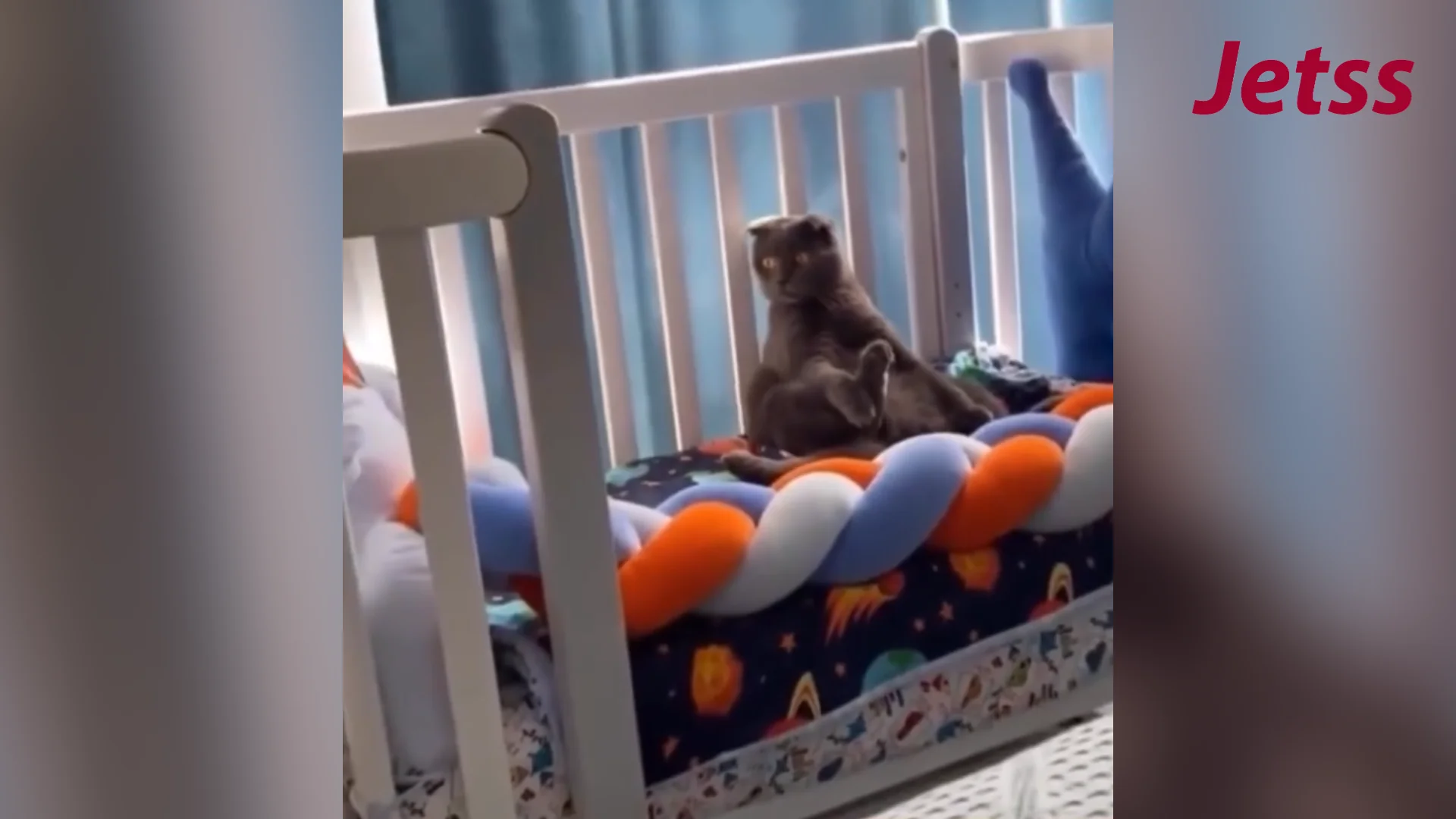 Gato ativa modo “pelúcia” para não ser incomodado pelo bebê