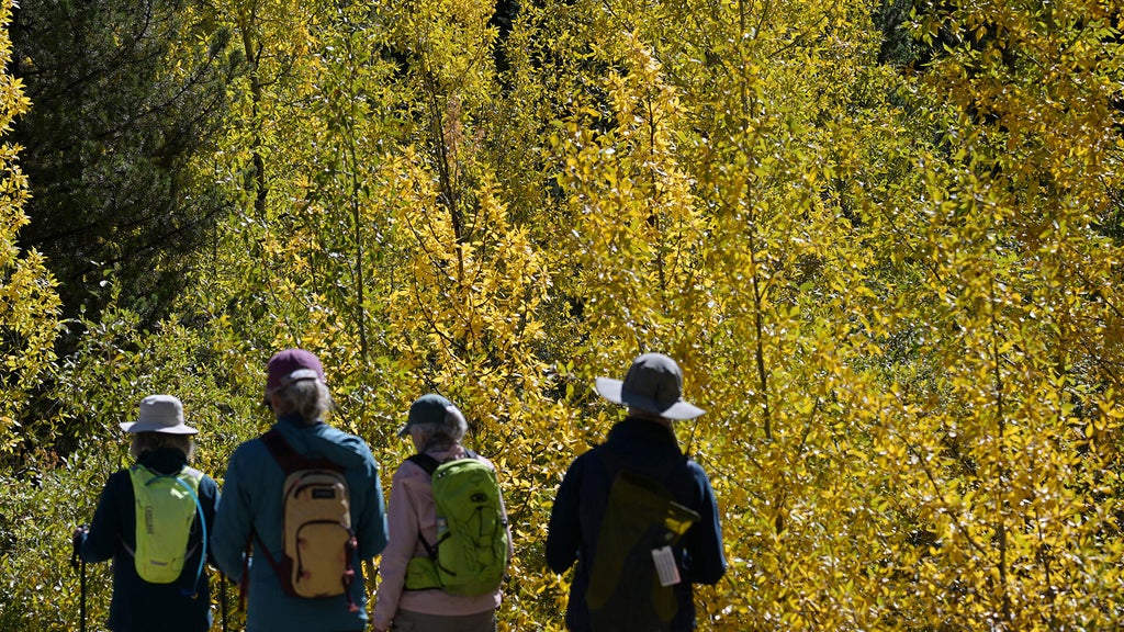 Drought could take the brilliance out of Minnesota's fall colors, DNR says