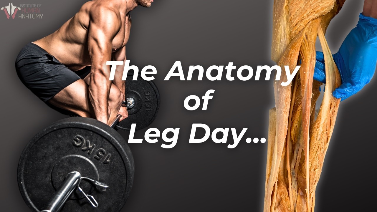 The Ultimate Leg Day Workout Guide