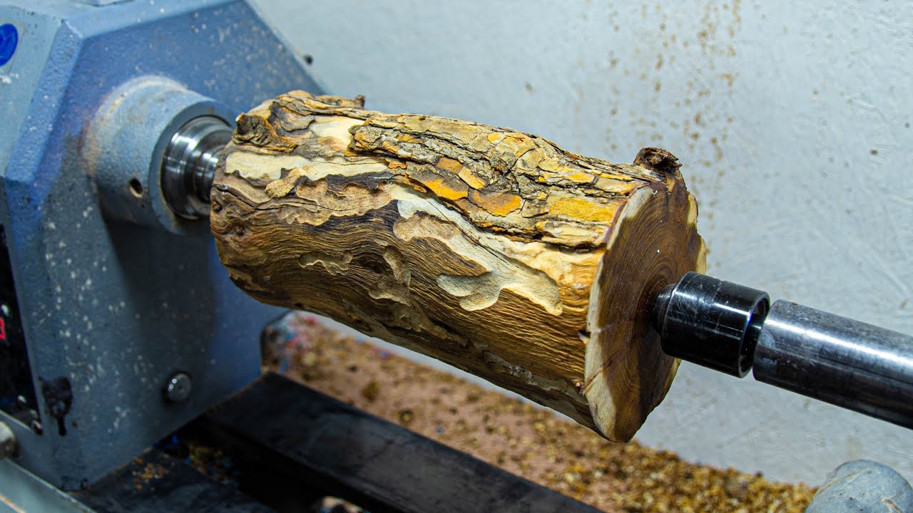 From rot to remarkable: Turning a bug‑eaten laburnum log