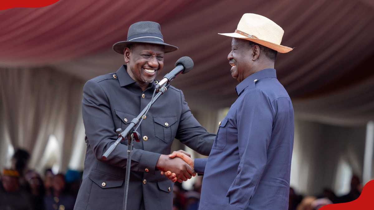ODM senator claims Raila, Ruto are meeting to strategise for 2027 ...