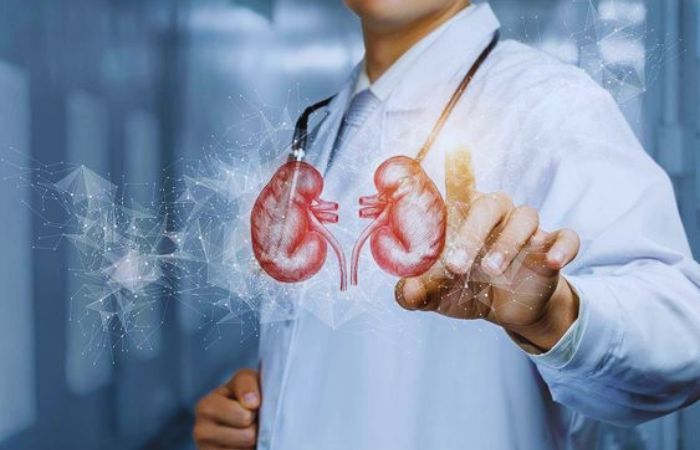 Hadapi Gagal Ginjal Kronik, Hemodialisis Modern Jadi Solusi Pasien