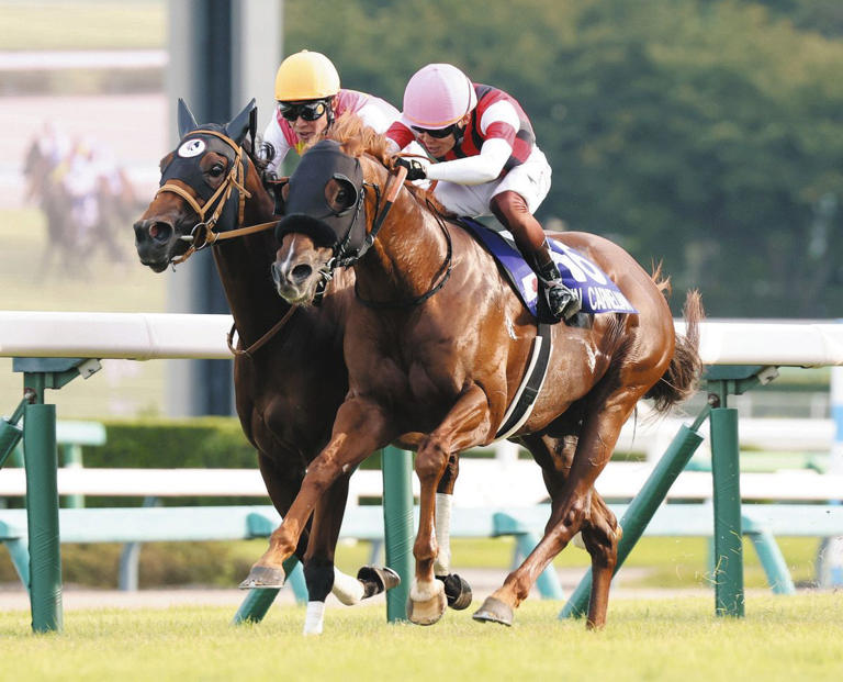 浦和競馬　勝負服　國分騎手サイン入り 浦和競馬 勝負服 國分騎手サイン入り 浦和競馬 勝負服 國分騎手