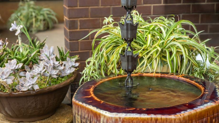 Picture of How to Start a Vertical Rain Garden
