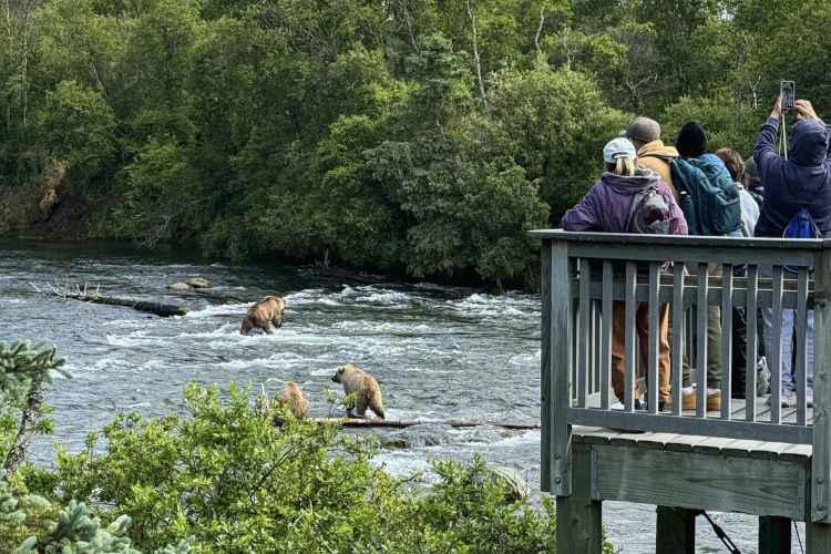 alaska-s-katmai-national-park-where-bears-and-volcanoes-take-centerstage