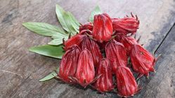 5 Manfaat Teh Rosela: Antioksidan Alami untuk Tekanan Darah dan Kolesterol