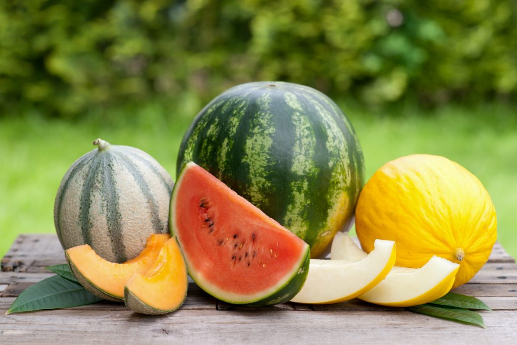 Melonen – saftig, erfrischend und vielseitig: alles zu Sorten und ...