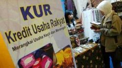 Solusi Produktif Pasca Pensiun: KUR ASN dari Pemprov Kalbar dan Bank Kalbar