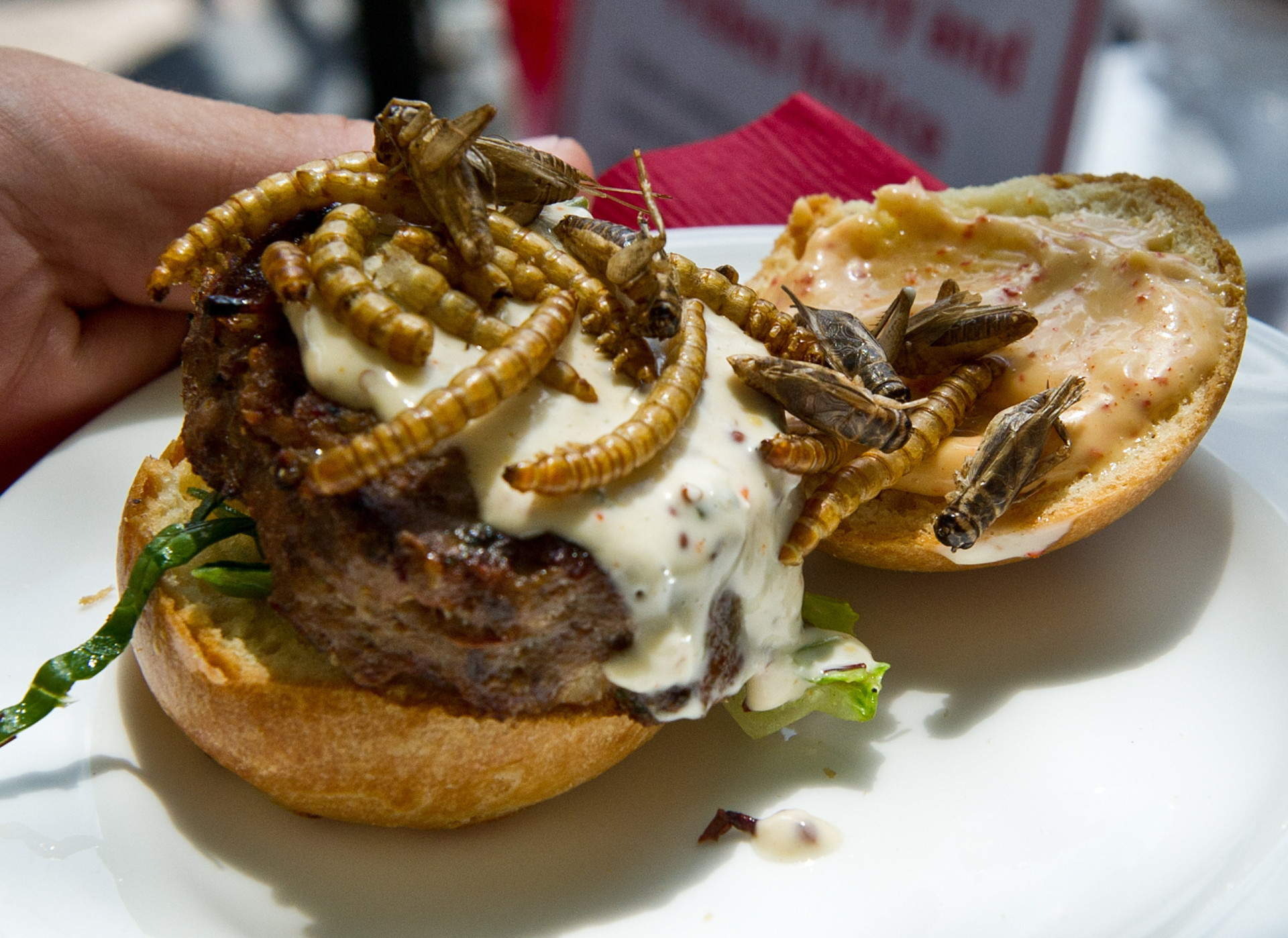 The fascinating reason you should be eating more insects