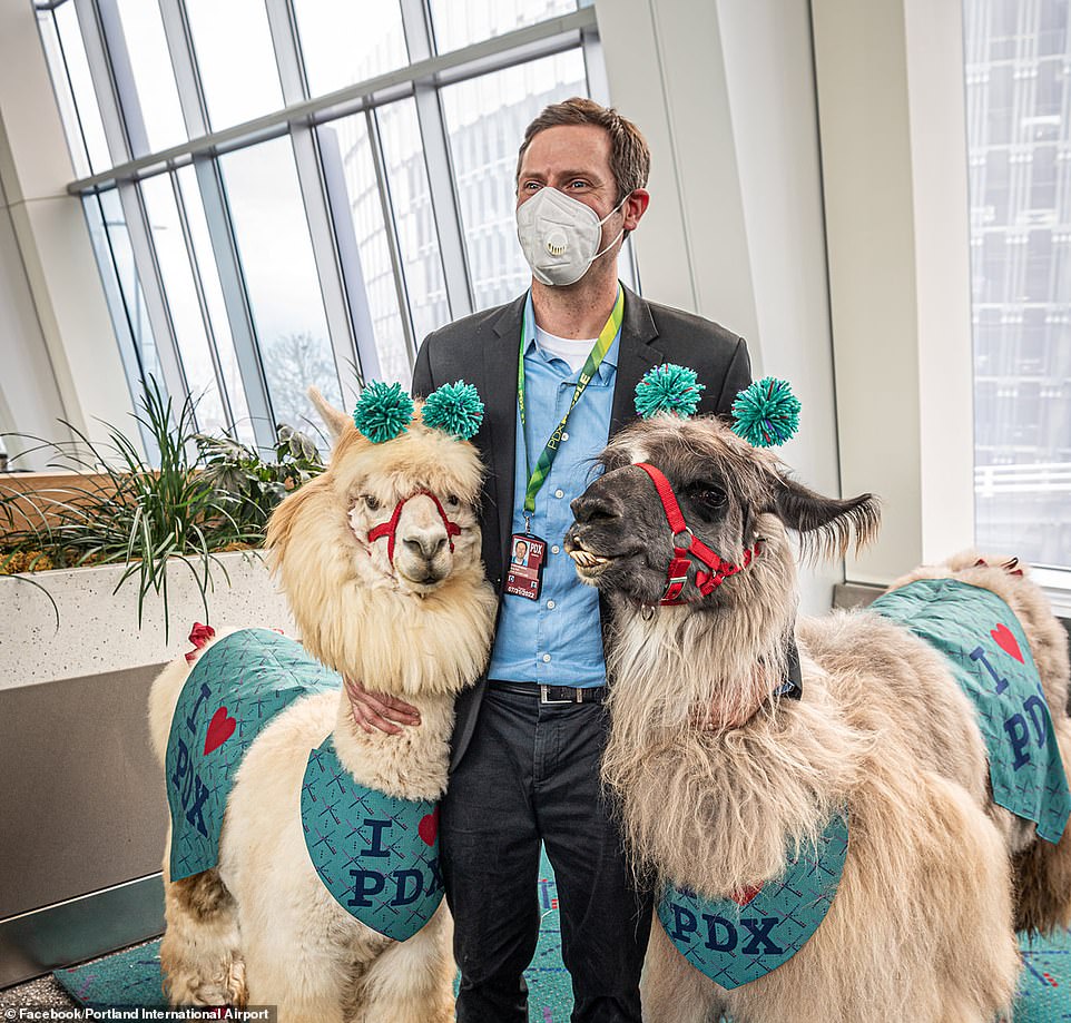 Portland scoffs at Trump's 'war zone' troop deployment plan