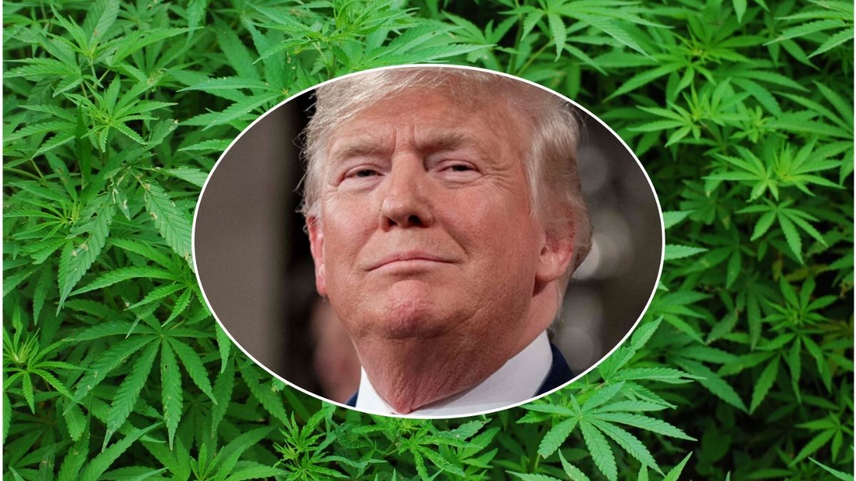 'That's not human' Spooky 911 call really happened in North Carolina